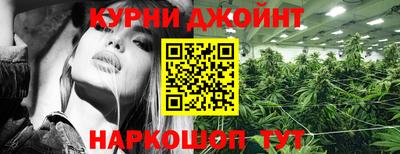 индика Тара