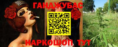 индика Тара